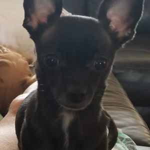 Meet your Posher, Theresa